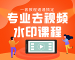 专业去视频水印教程 静态水印、动态水印、文字水印、图片水印一套教程通通搞定-学习笔记资源库