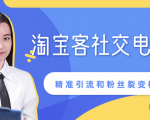 某站内部课程:淘宝客社交电商裂变,精准引流和粉丝裂变模式详解(共6节视频)-学习笔记资源库
