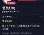 爆抖联盟蔷薇好物连怼100技术,一天连怼上百个视频,单场直播平均带货30万玩法-学习笔记资源库