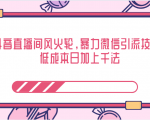 抖音直播间风火轮,暴力微信引流技术,低成本日加上千法-学习笔记资源库