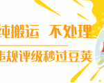 抖音纯搬运 不处理 小技巧，30秒发一个作品，避免违规评级秒过豆荚-学习笔记资源库
