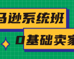 亚马逊系统班,专为0基础卖家量身打造,亚马逊运营流程与架构-学习笔记资源库
