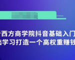 抖音基础入门班:小白0基础学习打造一个高权重赚钱的抖音号-学习笔记资源库