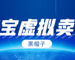 黑帽子淘宝虚拟卖货项目，单店每月收入5000+-学习笔记资源库