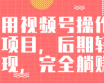 视频号操作书单变现项目，后期轻松变现，完全躺赚日入300至500元-学习笔记资源库