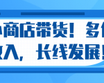 微信小商店带货,爆单多倍收入,长期复利循环!日赚300-800元不等-学习笔记资源库