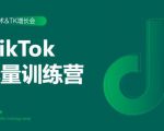 2020最新TikTok流量增长训练营（完结）附PPT-学习笔记资源库