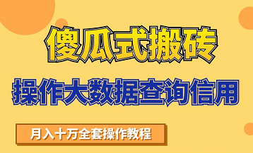 搬砖操作大数据查询信用项目赚钱教程，祝你快速月入6万-学习笔记资源库