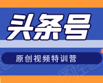 头条号原创视频特训营:一对一带你玩转短视频,新号10天日收益破252元-学习笔记资源库