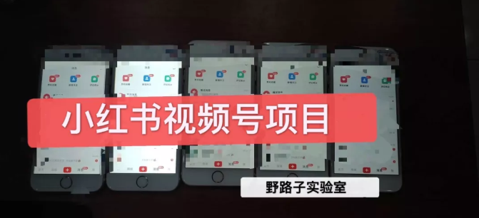 野路子小红书视频号1.0项目，直接上手操作就能赚钱的视频号项目-学习笔记资源库