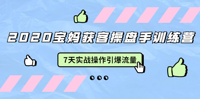 2020宝妈获客操盘手训练营：7天实战操作引爆 母婴、都市、购物宝妈流量-学习笔记资源库