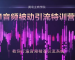 黄岛主·FM音频引流特训营2.0：独家引流模式，单账号50W+播放量，轻松变现-学习笔记资源库
