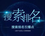 搜索排名引爆点:教你快速掌握各个搜索引擎排名算法,让客户主动找上你的秘笈-学习笔记资源库