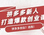 拼多多新人打造爆款创业课:快速引流持续出单,适用于所有新人-学习笔记资源库
