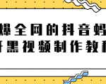 火爆全网的抖音“蚂蚁牙黑”视频制作教程,附软件【视频教程】-学习笔记资源库
