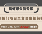 暴利偏门项目全套合集视频教程:你要的日赚1000+月入几万+项目都有-学习笔记资源库