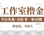 工作室撸金二件套:撸今日头条原创收益+小红书一单利润40块项目-学习笔记资源库