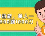 Paypal拉新赚美刀项目,单人一天利润500-1000刀【视频课程】-学习笔记资源库