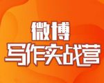 村西边老王·微博超级写作实战营，帮助你粉丝猛涨价值999元-学习笔记资源库