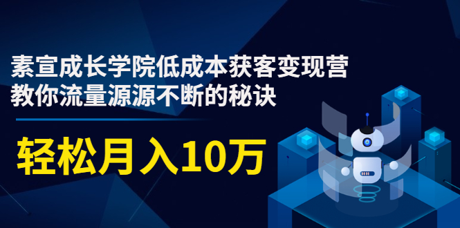 素宣成长学院低成本获客变现营，教你流量源源不断的秘诀，轻松月入10万-学习笔记资源库
