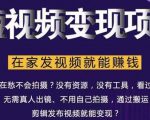 在家也能操作的短视频赚钱项目,无需真人,不用拍摄,纯搬运月入2到5万-学习笔记资源库