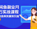 2021闲鱼副业月入过万实战课程:从开店到选择货源到引流,全程实战教学-学习笔记资源库