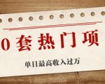 30套热门项目:单日最高收入过万 (网赚项目、朋友圈、涨粉套路、抖音、快手)等-学习笔记资源库