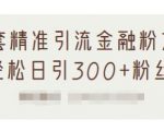 1套精准引流金融粉方法,轻松日引300+粉丝-学习笔记资源库