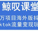 鲸叹号·海外TIKTOK训练营，百万项目海外版抖音tiktok流量变现玩法-学习笔记资源库