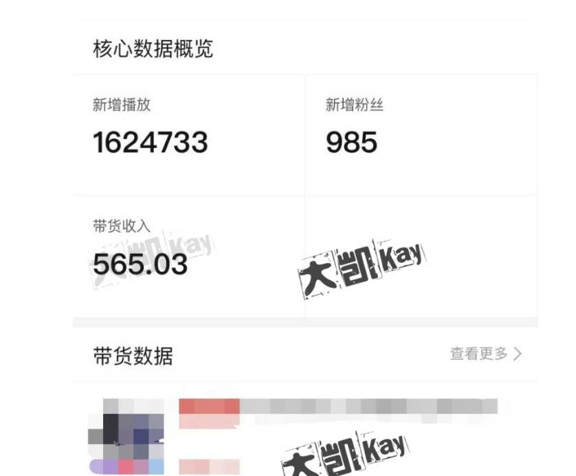 大凯进阶圈新玩法之拼多多视频玩法，利润大概一个号一天能有500~1500的左右!-学习笔记资源库