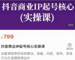 抖音商业IP起号核心实操课,带你玩转算法,流量,内容,架构,变现-学习笔记资源库