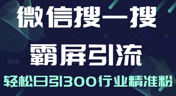 微信搜一搜霸屏引流课，打造被动精准引流系统，轻松日引300行业精准粉-学习笔记资源库