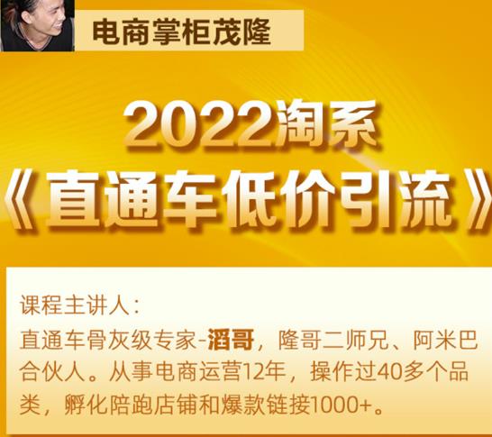 茂隆2022直通车低价引流玩法，教大家如何低投入高回报的直通车玩法-学习笔记资源库