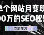 单个网站月变现100万的SEO秘密,百分百做出赚钱站点-学习笔记资源库
