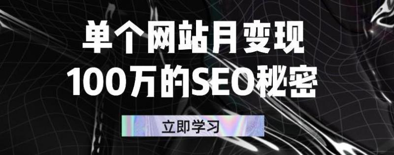 单个网站月变现100万的SEO秘密，百分百做出赚钱站点-学习笔记资源库