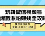 玩转微信视频号爆款涨粉赚钱全攻略,快速涨粉百万变现万元秘诀-学习笔记资源库