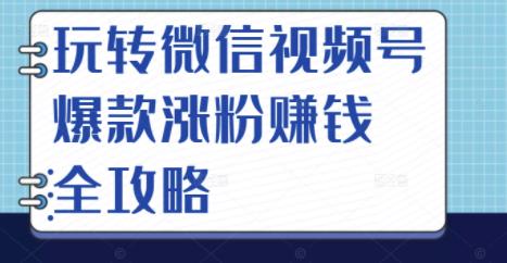 玩转微信视频号爆款涨粉赚钱全攻略，让你快速抓住流量风口，收获红利财富-学习笔记资源库