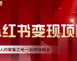 渣圈学苑·小红书虚拟资源变现项目,一起捞钱掘金价值1099元-学习笔记资源库