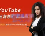 外国人眼中的YouTube该怎么玩?Elisa·YouTube运营推广实战技巧-学习笔记资源库