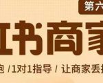 贾真-小红书商家营第6期商家版,21天带货陪跑课,让商家丢掉付流量-学习笔记资源库