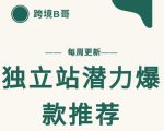 【跨境B哥】独立站潜力爆款选品推荐,测款出单率高达百分之80-学习笔记资源库