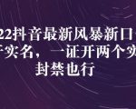 2022抖音最新风暴新口子:多开实名,一整开两个实名,封禁也行-学习笔记资源库