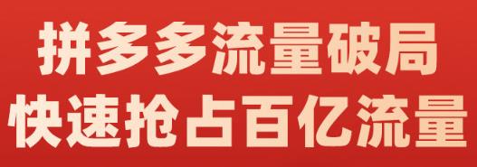 阿杰·拼多多流量破局:如何打黑标，爆款的思路，拼多多流量框架，快速抢占百亿流量-学习笔记资源库