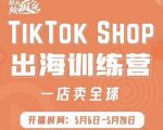 疯人院:TikTok Shop出海训练营(一店卖全球),出海抢占全球新流量-学习笔记资源库