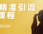 soul精准引流系列课程,每天引流100精准粉-学习笔记资源库