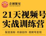 张萌21天视频号实战训练营,裂变涨粉、内容创作、视频号变现 价值298元-学习笔记资源库