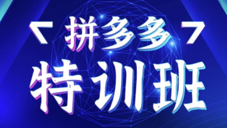 星雪教育·拼多多基础班+进阶班+突破班，用系统的学习模式快速改变现状价值3580元-学习笔记资源库