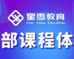 星雪教育淘系高级班,更全的运营提升方案,零基础由浅入深,店铺最新玩法-学习笔记资源库