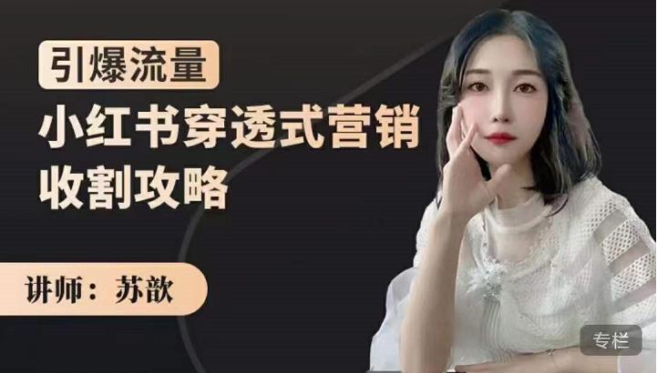 苏歆：小红书穿透式营销收割攻略，引爆流量，助你玩转小红书-学习笔记资源库