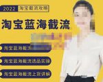 2022淘宝蓝海截流攻略，淘宝蓝海截流选品上货实操讲解-学习笔记资源库